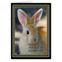 Easter Holiday Greeting Cards