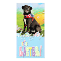 Easter - Labrador - Dakota Customized Photo Card