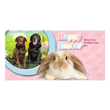 Easter - Labrador - Jack and Diane Picture Card