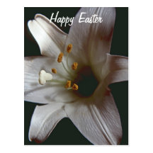 Easter Lily Happy Easter PostCard