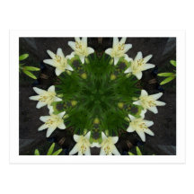 Easter Lily Kaleidoscope Postcard