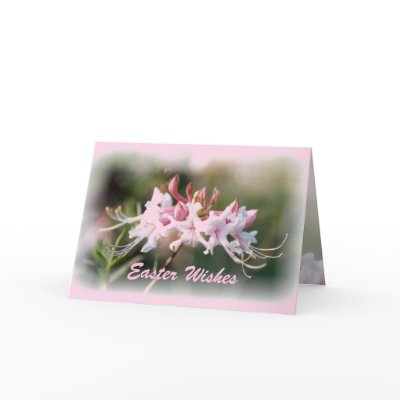 Easter Native Azalea Card by naturegirl7