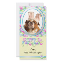 Easter Photo Cards for your pets!