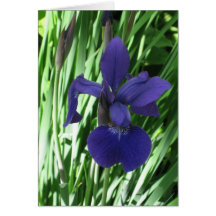 Easter_Purple Lily Card