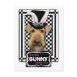 Easter - Some Bunny Loves You - Airedale Post Card