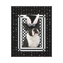 Easter - Some Bunny Loves You - Boston Terrier Stretched Canvas Print
