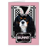 Easter - Some Bunny Loves You - Cavalier TriColor Cards