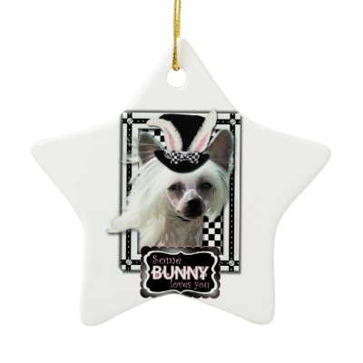 Easter - Some Bunny Loves You - Chinese Crested Christmas Ornament by FrankzPawPrintz