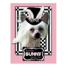 Easter - Some Bunny Loves You - Chinese Crested Post Cards