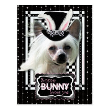 Easter - Some Bunny Loves You - Chinese Crested Postcard