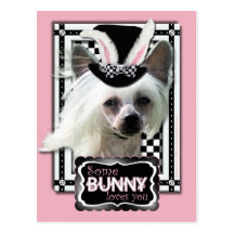 Easter - Some Bunny Loves You - Chinese Crested Post Cards