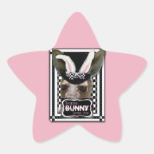 Easter - Some Bunny Loves You - Kangaroo Star Stickers