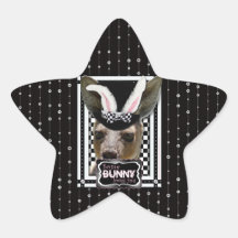 Easter - Some Bunny Loves You - Kangaroo Star Stickers