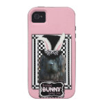 Easter - Some Bunny Loves You - Newfoundland iPhone 4/4S Case