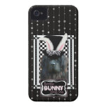 Easter - Some Bunny Loves You - Newfoundland iPhone 4 Case-Mate Cases