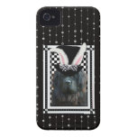 Easter - Some Bunny Loves You - Newfoundland Case-Mate iPhone 4 Cases