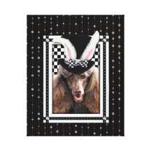 Easter - Some Bunny Loves You - Poodle - Chocolate Stretched Canvas Print