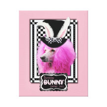 Easter - Some Bunny Loves You - Poodle - Pink Canvas Prints