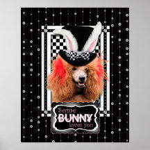 Easter - Some Bunny Loves You - Poodle - Red Poster