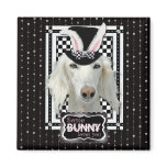 Easter - Some Bunny Loves You - Saluki Magnets