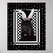 rabbit breed poster