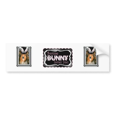 Easter - Some Bunny Loves You - Sheltie Bumper Stickers by FrankzPawPrintz