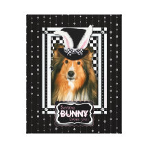 Easter - Some Bunny Loves You - Sheltie Canvas Print