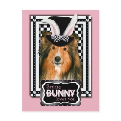 Easter - Some Bunny Loves You - Sheltie Post Cards by FrankzPawPrintz