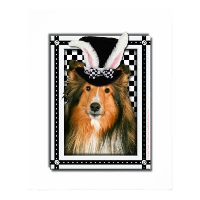 Easter - Some Bunny Loves You - Sheltie Poster by FrankzPawPrintz
