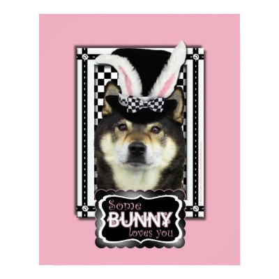 Easter - Some Bunny Loves You - Shiba Inu Yasha Poster by FrankzPawPrintz