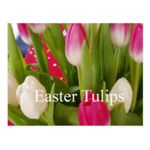 Easter tulips postcards