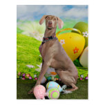 Easter - Weimaraner - Nevaeh Postcards