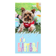 Easter - Yorkshire Terrier - Sassy Photo Card Template