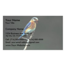 Eastern Bluebird Business Card Templates