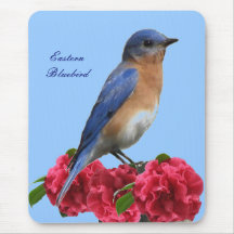 Eastern Bluebird Camellia Mousepad