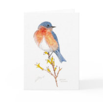 eastern bluebird cards