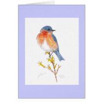 eastern bluebird greeting card