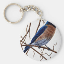 Eastern bluebird key chains