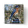 Eastern Bluebird Male Button