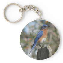 Eastern Bluebird Male Keychain