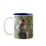 Eastern Bluebird Male Mug
