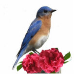 Eastern Bluebird Male Photo Sculpture photo sculptures