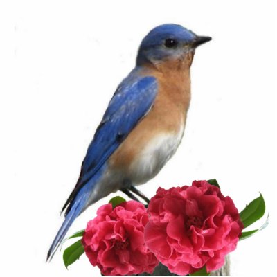Eastern Bluebird Male Photo Sculpture by naturegirl7