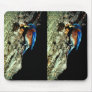 Eastern Bluebird Mouse Pad