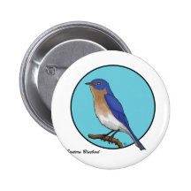 EASTERN BLUEBIRD PINS