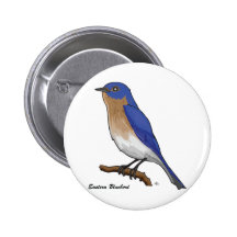 EASTERN BLUEBIRD PINS