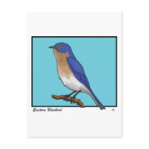 EASTERN BLUEBIRD POSTCARDS