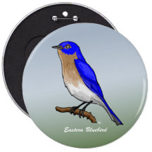Eastern Bluebird rev.2.0 Buttons and Flair