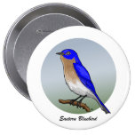 Eastern Bluebird rev.2.0 Buttons and Flair