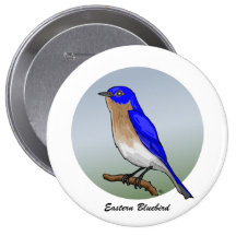 Eastern Bluebird rev.2.0 Buttons and Flair